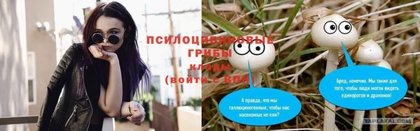 мдпв Арсеньев