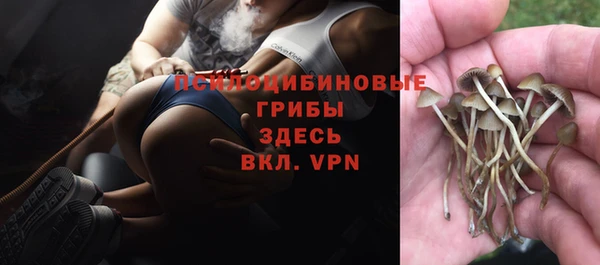 индика Армянск