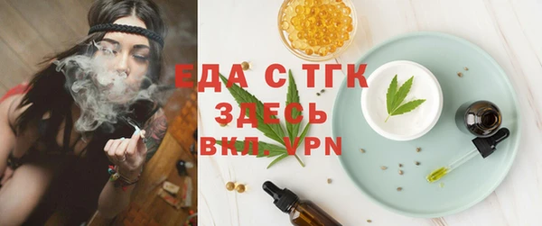 индика Армянск