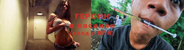 индика Армянск