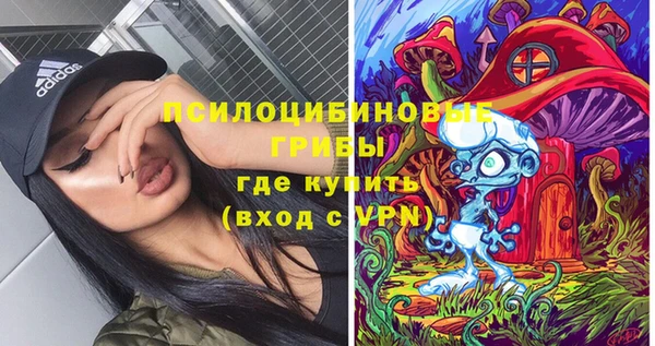 индика Армянск