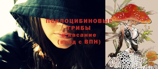 мдпв Арсеньев