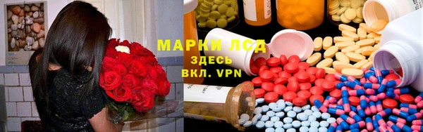 индика Армянск