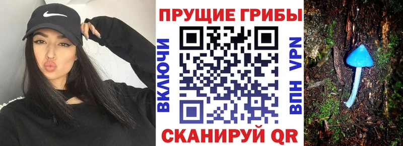 MEGA tor  Рассказово  Псилоцибиновые грибы Psilocybine cubensis 